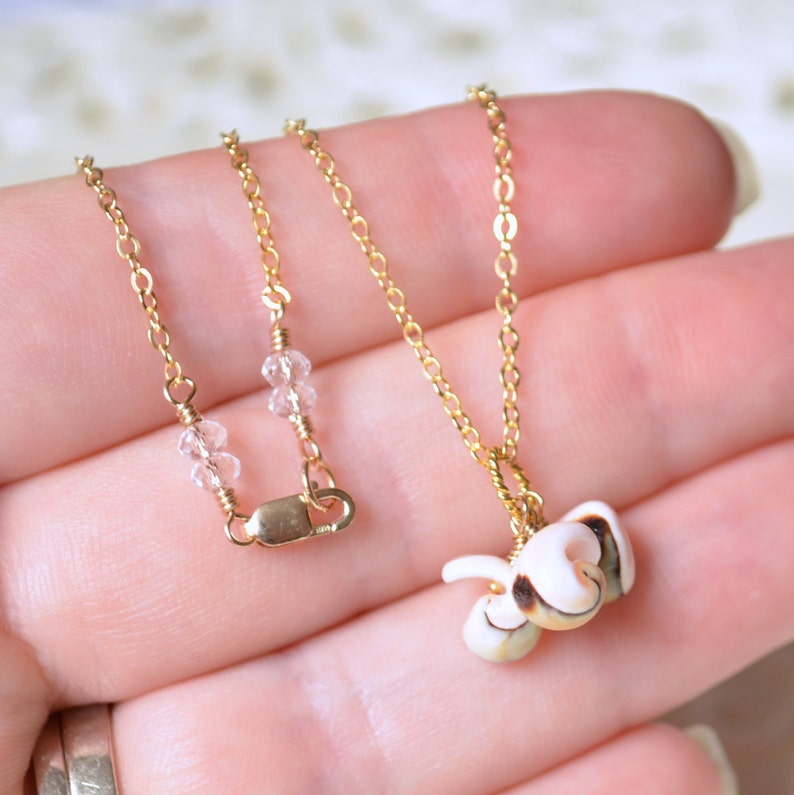 Beach Jewelry Real Seashell Gold Filled or Sterling Silver Bridesmaid Sea Shell Necklace Free Shipping Pale Pink