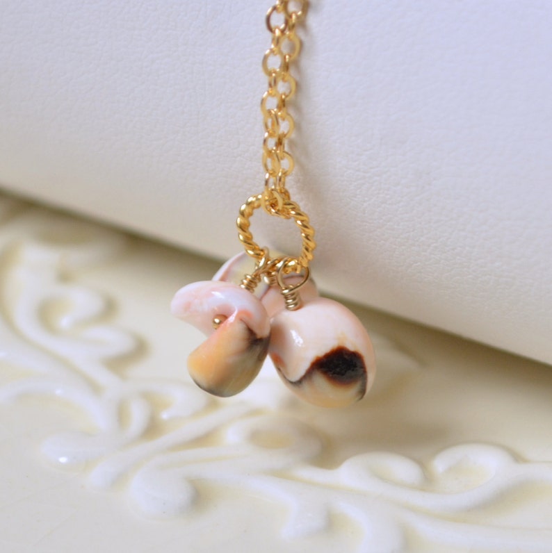 Beach Jewelry Real Seashell Gold Filled or Sterling Silver Bridesmaid Sea Shell Necklace Free Shipping Pale Pink