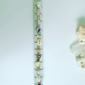 May include: A vertical display of seashell rings. The rings are silver-toned and hold various small seashells, showcasing a range of colors and patterns. The background is a light, neutral color, highlighting the rings.