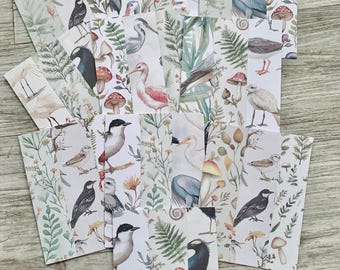Tarjetas de notas en blanco con sobres, diseño de aves costeras y hongos del bosque, 10 unidades
