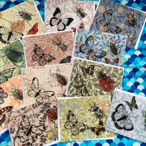 Bougie Beetle and Butterflies Insect Bug Blank Invitation sized  Notecards 12 ct