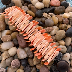 May include: A coral-colored shell bracelet with a unique design, composed of multiple shell pieces. The bracelet is displayed on a bed of smooth, multicolored stones, creating a natural and earthy aesthetic. The bracelet is a piece of jewelry.