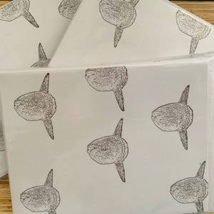 May include: Several white square packages are stacked, each wrapped in clear plastic. The packages are covered in a repeating pattern of black line drawings of sunfish. The background is a light brown, textured surface.