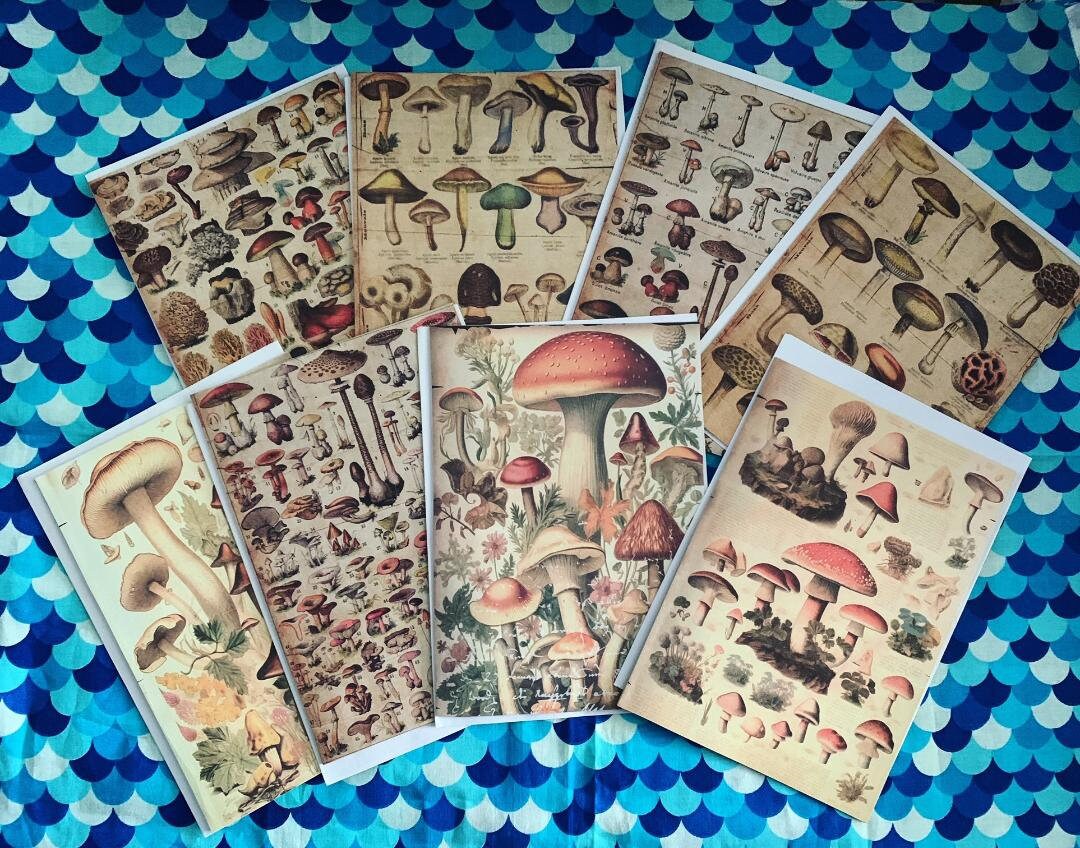 Victorian Naturalist Mushroom Vintage Nature Plates 5x7 Blank Etsy