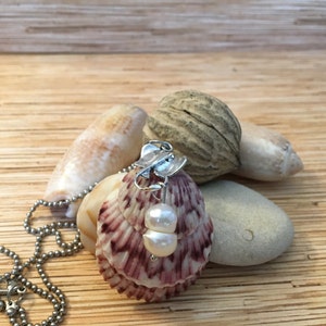 3 Scallop Shell Stingray Necklace
