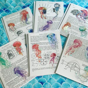 Jellyfish Field Guide Blank Notecards with Envelopes 6 ct.