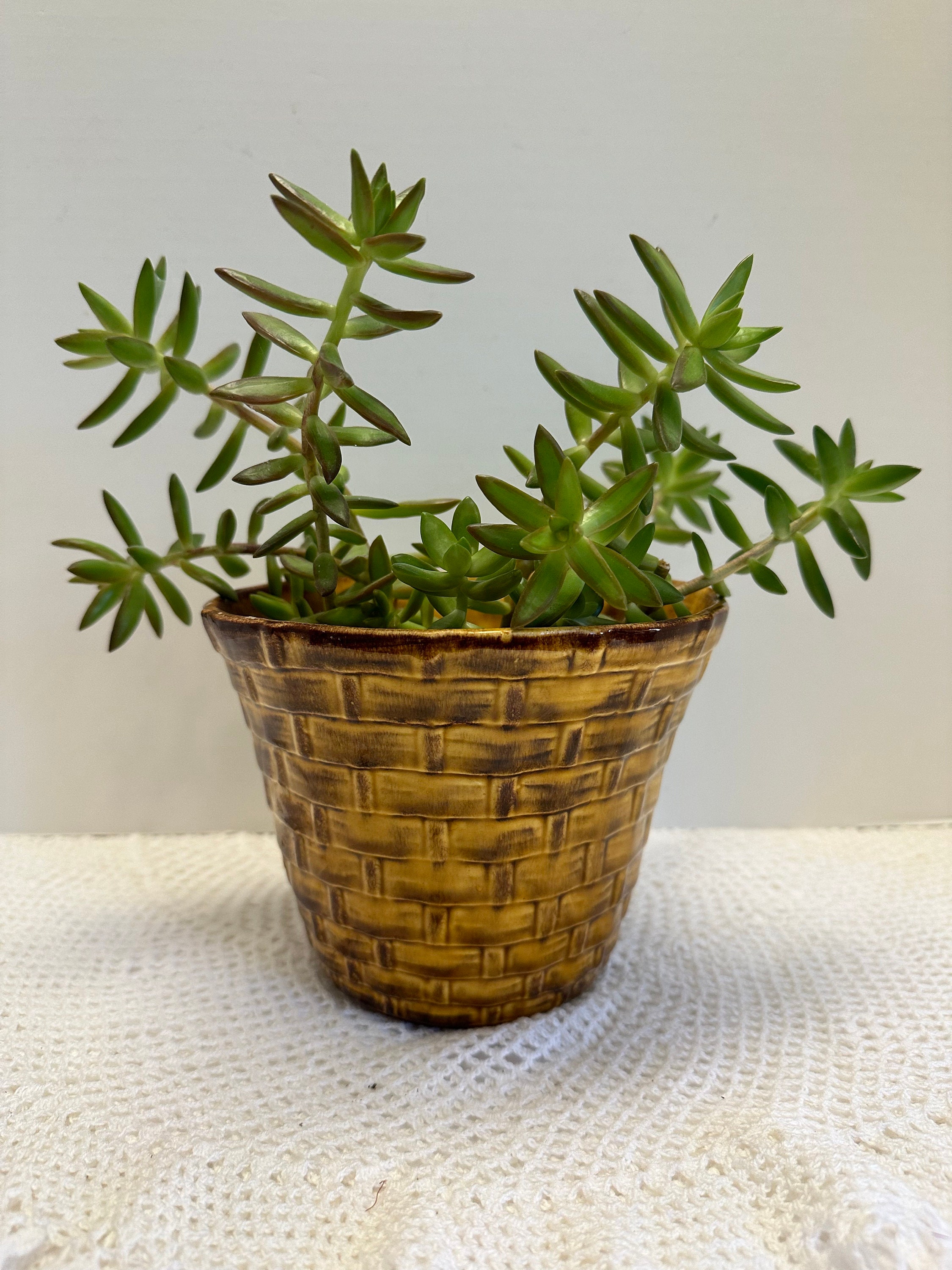 Vintage Basket Weave Planter Mid Century  5" by 6" Judy of California USA Mustard Yellow and Brown