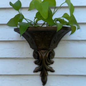 May include: A bronze-colored wall planter with a decorative, ornate design, holding a vibrant green plant. The planter has a curved shape and is mounted on a white, horizontal-slatted surface. The plant's leaves are heart-shaped.