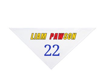 Liam Pawson (Liam Lawson) VCARB-inspired Funny F1 Dog Gift for Race Day