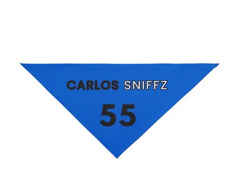 Carlos Sniffz (Carlos Sainz) Williams-inspired Funny F1 Dog Gift for Race Day