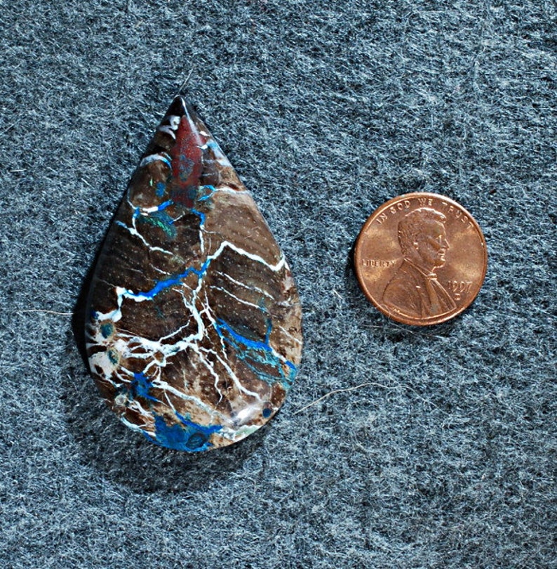 See Video Petrified Colla Wood Cabochon Handmade by MagicStones