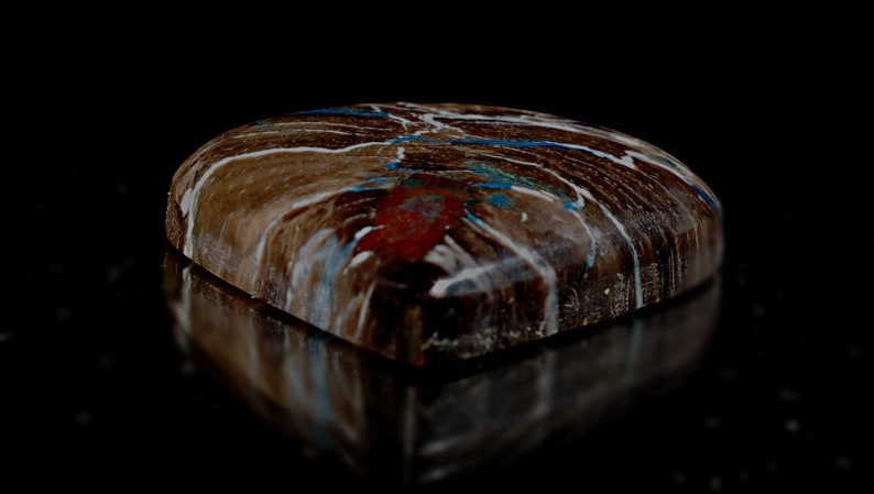 See Video Petrified Colla Wood Cabochon Handmade by MagicStones