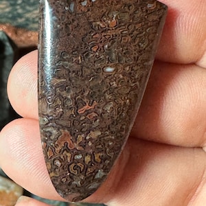Puede incluir: Una gema pulida en forma de escudo, con un patrón complejo de tonos marrones, beige y rojo-anaranjado. La piedra tiene una superficie brillante y un aspecto orgánico único, probablemente un tipo de ágata o jaspe.