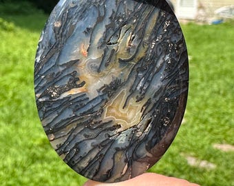 化石化したヤシの木の未研磨板 120x58x10 mm - Etsy 日本