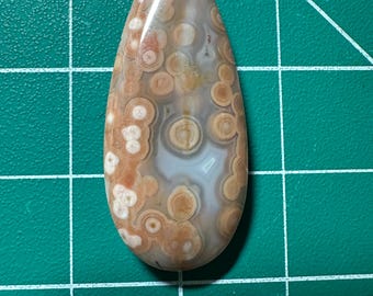 Orbicular Ocean Jasper Cabochon Madagascar Jasper Bullseye Orbs Collector Cabochon