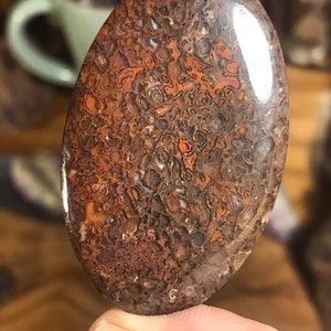 Puede incluir: Un cabujón ovalado pulido de madera fosilizada con un patrón marrón, naranja y gris.