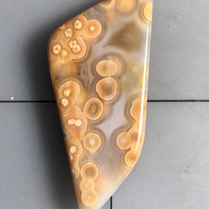 Orbicular Ocean Jasper Cabochon Madagascar Translucent Old Stock Collector Cab