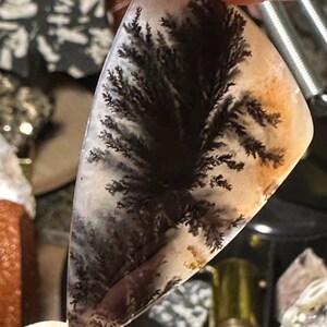 May include: A polished, teardrop-shaped gemstone with a dendritic pattern resembling a tree. The stone features a black, fern-like design against a translucent white and tan background. The gemstone is held by a person's fingers.