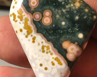Orbicular Ocean Jasper Cabochon Madagascar Jasper Collector Cabochon Dramatic Orbs