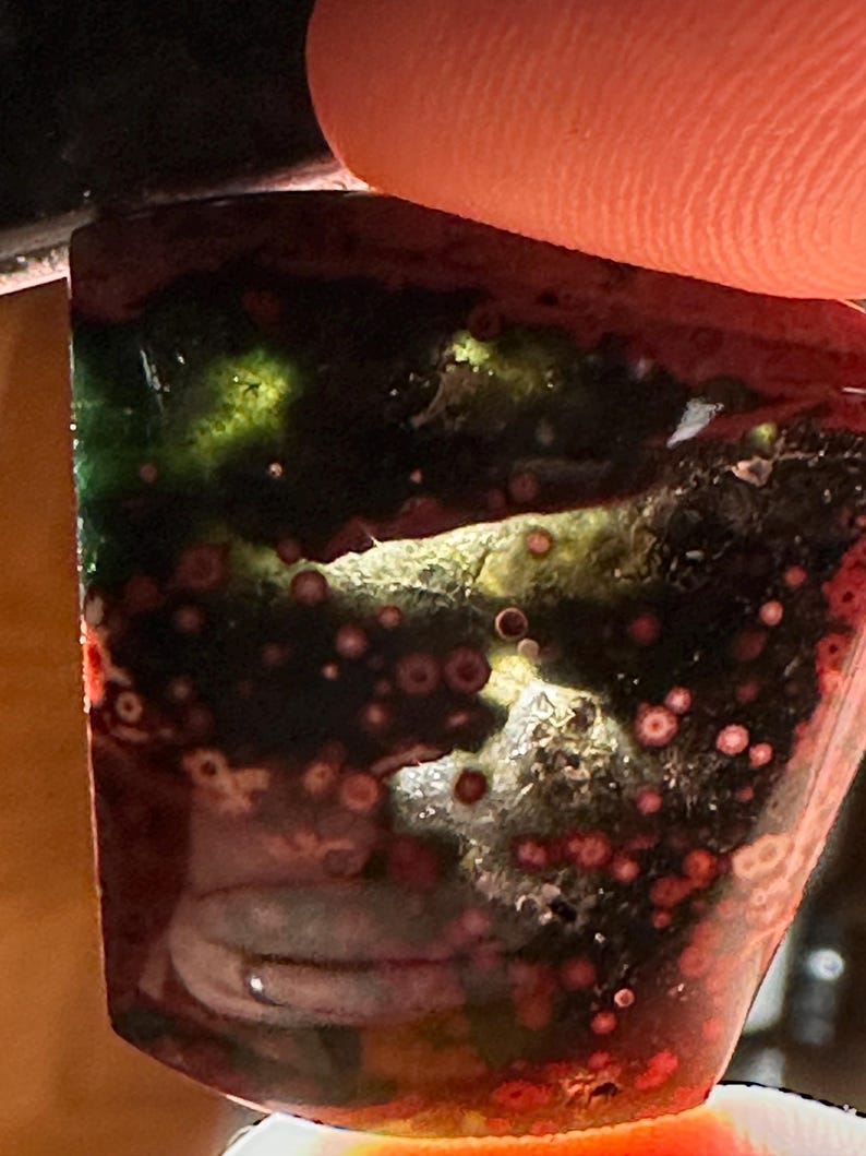 Op de afbeelding: Close-up van een gepolijste edelsteen met een mix van kleuren. De steen heeft donkergroene, rode en witte patronen. De rode gebieden hebben kleine, cirkelvormige insluitsels. De edelsteen wordt door een vinger vastgehouden.