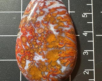 Wingate Pass Plume Agate Cabochon + Death Valley Plume Agate + 77 ct Collector Cab by MagicStones