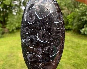 化石化したヤシの木の未研磨板 120x58x10 mm - Etsy 日本