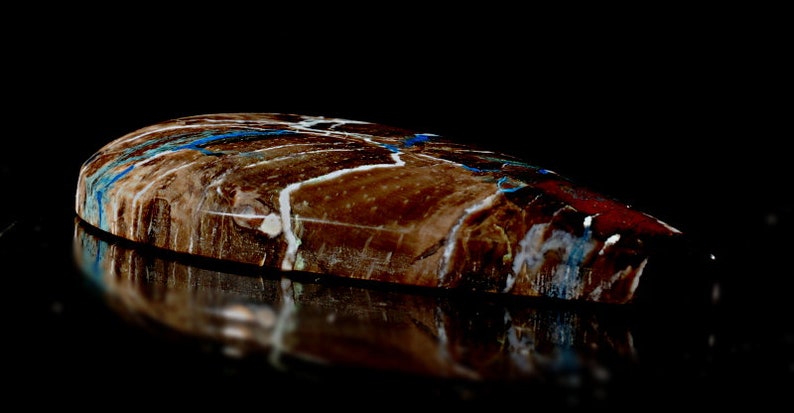 See Video Petrified Colla Wood Cabochon Handmade by MagicStones