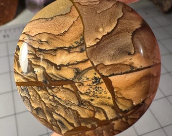 Deschutes Picture Jasper Cabochon Scenic Oregon Landscape Jasper Collector Cab