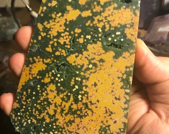 Orbicular Ocean Jasper Slab Madagascar Old Stock Collector Lapidary Rough