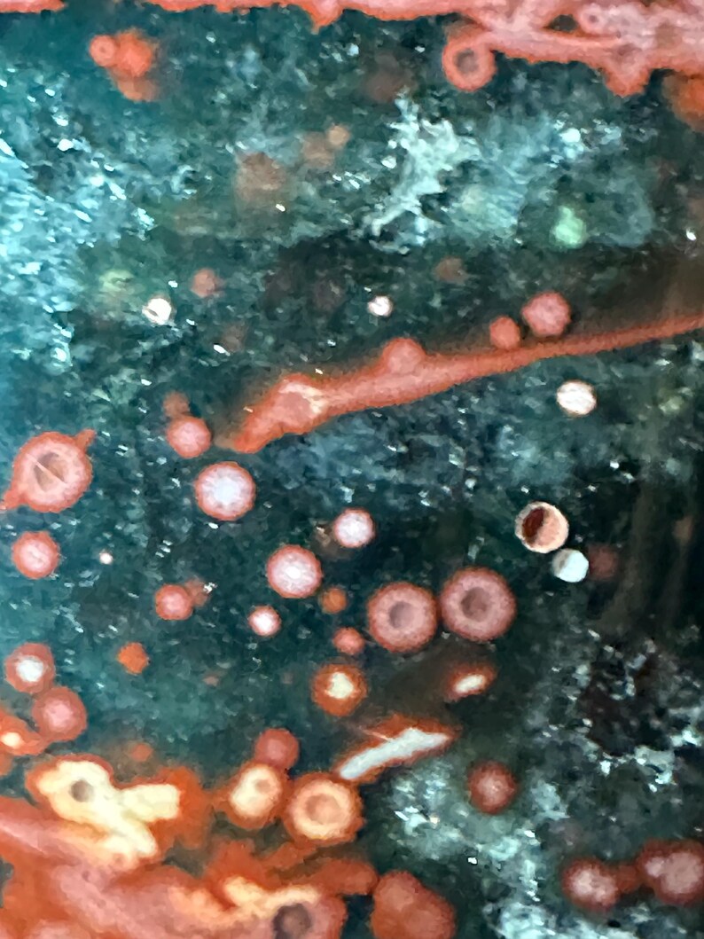 Op de afbeelding: Close-up van een gepolijste steen met een donkergroene basiskleur. De steen heeft onregelmatige patronen van rood-oranje, cirkelvormige en lineaire formaties, waardoor een uniek, natuurlijk ontwerp ontstaat. Het oppervlak heeft een licht glanzend uiterlijk.