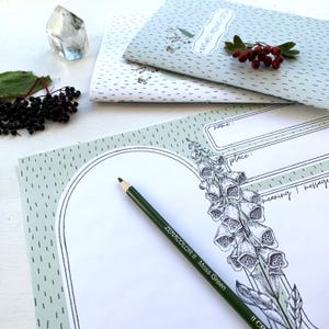 Printable Nature Field Guide - Documenting Nature Practise - Intuitive sketching - Natures messages - Nature Log Book - Field Guide Book