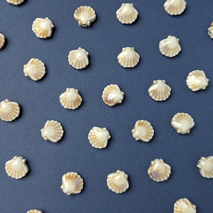 5pcs ceramic shell beads , beige white scallops, 11mm - mermaidcore jewelry making supplies