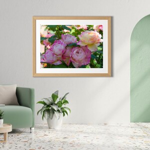 Rose Wall Art Print – Pink and Yellow Floral Photography – Digital Download – Printable Flower Photo – 2:3 Ratio