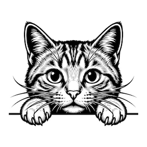 May include: A black and white graphic illustration of a tabby cat face with large eyes and long whiskers. The cat is positioned as if peeking over a horizontal line, with both front paws resting on the edge, showcasing detailed fur texture.
