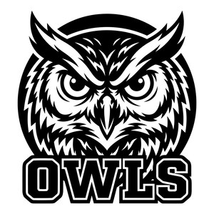 May include: A black and white graphic illustration of a stylized owl head centered within a circular frame. The owl features sharp, angular feathers and intense, focused eyes. Below the circular emblem, the word OWLS is written in bold letters.