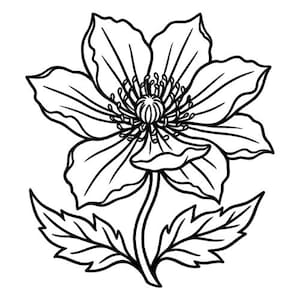 May include: A black and white line art illustration of a single flower with six broad, rounded petals and a detailed central stamen structure. The flower is attached to a thin stem flanked by two serrated, pointed leaves at the base of the bloom.
