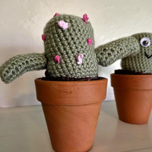 Crochet Cactus Plushies in Mini Terracotta Pots