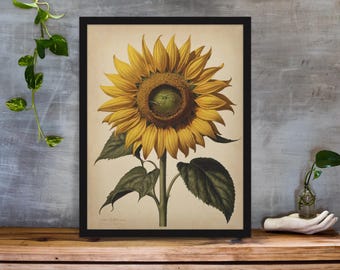 Abstract Sunflower Print: Modern Boho Floral Wall Art (Digital Download, 16x20 inches)