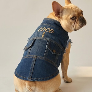 May include: A denim dog vest with the name "COCO" embroidered in gold thread. The vest has two front pockets, button closures, and distressed edges. The dog is a light brown French Bulldog.