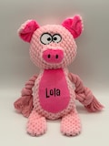Personalised Plush Dog Toy