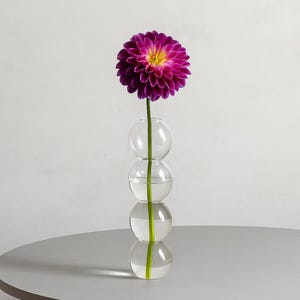 Vaso moderno in vetro a bolle / Vaso per fiori trasparente minimalista / Decorazione per la casa in stile nordico / Vaso alto trasparente per boccioli / Centrotavola da 23 cm