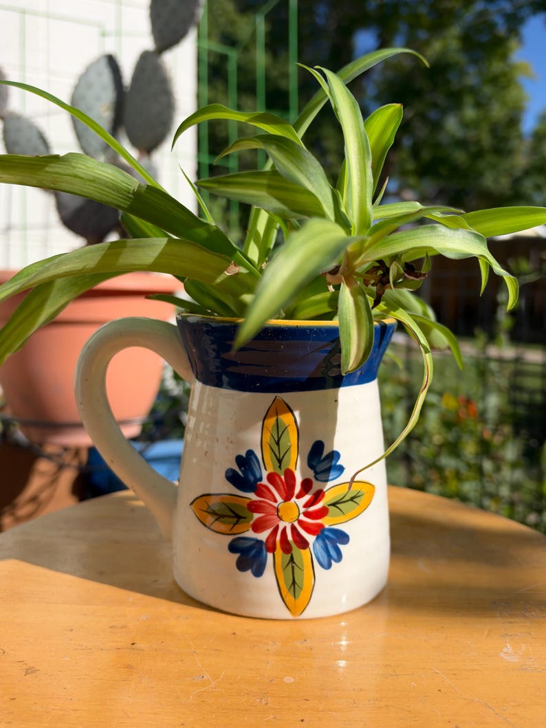 Spider Plants in Unique Mug Planters - Etsy