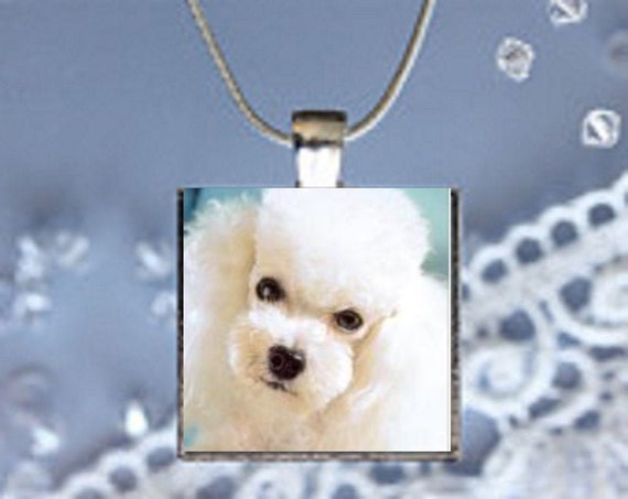 pendant for dogs