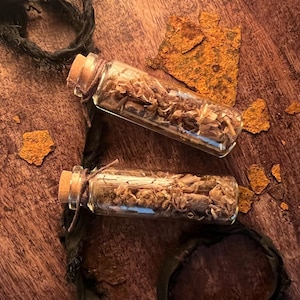May include: Two clear glass vials with cork stoppers, each filled with dried botanical material. The vials are tied with thin brown twine around the neck and contain small, textured, light brown plant fragments visible through the glass.