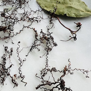 May include: Close-up of dried, curly, dark brown seaweed and a large, green bay leaf on a white surface. The seaweed has a wiry texture and is arranged in a scattered pattern. The bay leaf is smooth and flat.