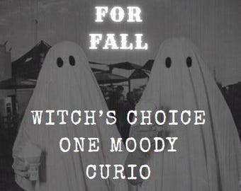 Waiting for Fall, One Witch’s Choice Moody Curio, surprise stash
