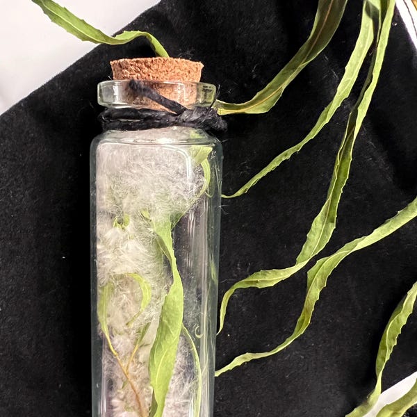 Weeping Willow Bloom Vial, First 2026 Blossoms, Dried Willow Fluff, Grief & Release Charm, Witch’s Garden Curio