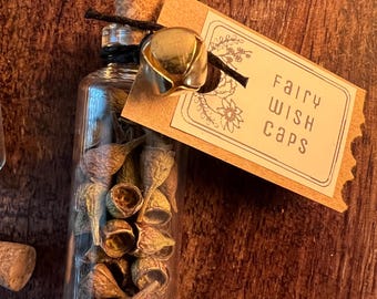 Fairy Wish Caps, Eucalyptus Seed Pod Charm Jar, Cottage Witch Luck Curio for Wishes and Blessings