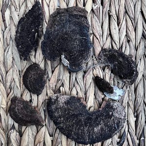 May include: A collection of dark brown, irregularly shaped objects with a rough, textured surface. The objects are arranged on a woven, light brown background. The shapes vary in size and appear to be organic.