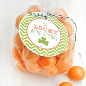 So Lucky That We&#39;re Friends |Green Chevron Favor Tag | St. Patrick&#39;s Day